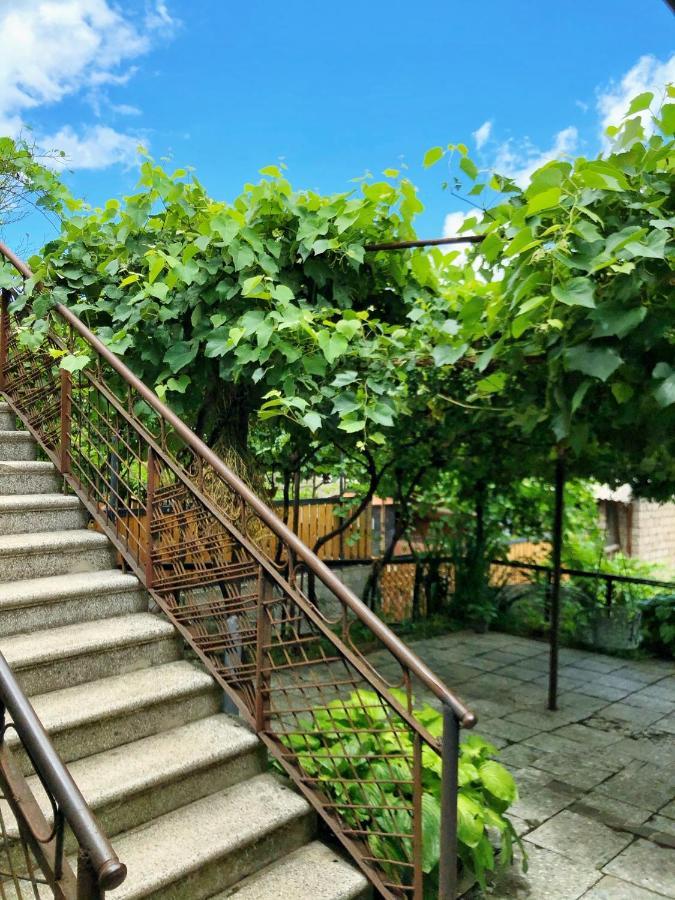 Achela'S Guesthouse Borjomi Exterior photo